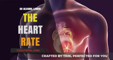 Does Alcohol Slow Your Heart Rate? Uncovering the Surprising Connection