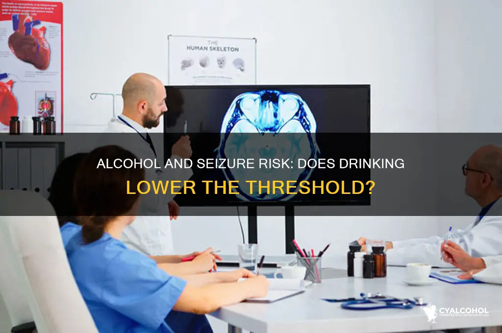 do alcohol lower the seizure threshold