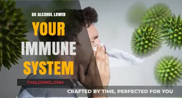 Alcohol's Impact: Does Drinking Weaken Your Immune System?