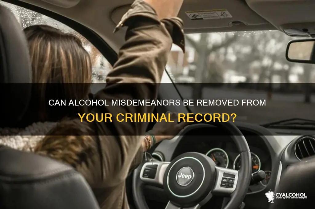 do alcohol misdemeanors come off records