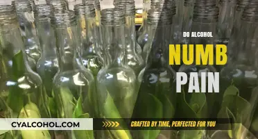 Does Alcohol Really Numb Pain? Exploring the Truth Behind the Myth