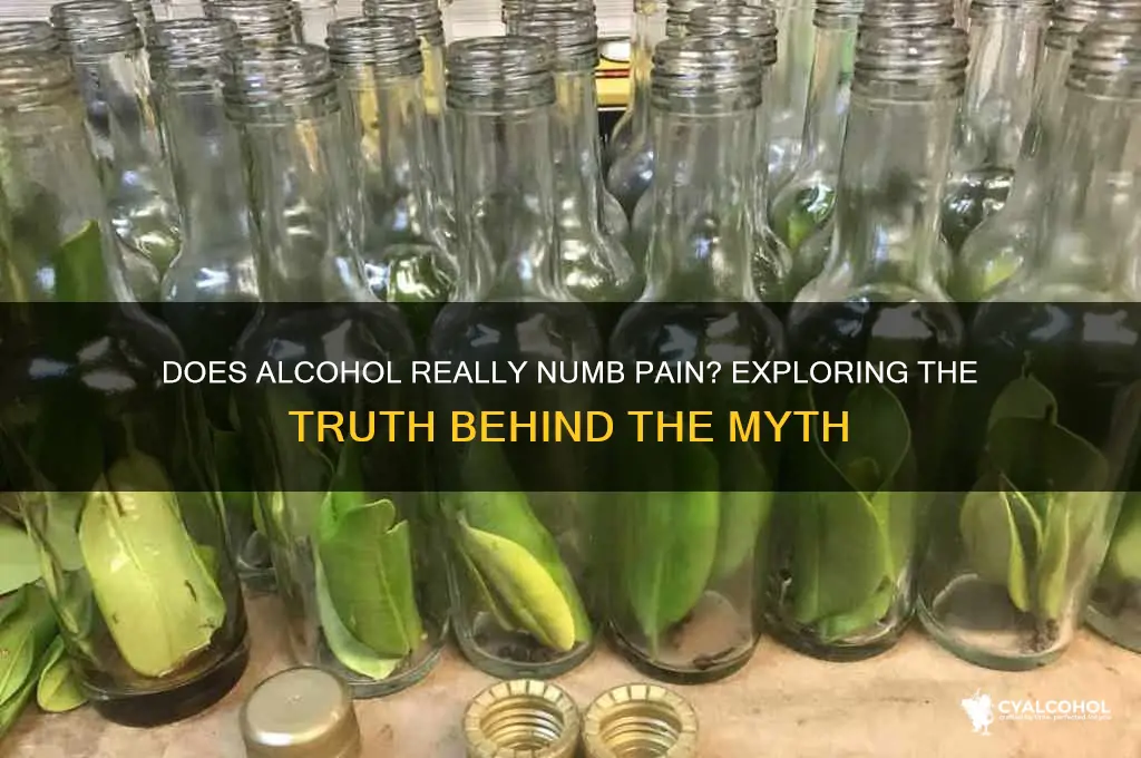 do alcohol numb pain