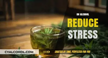 Alcohol and Stress: Does Drinking Really Help You Relax?