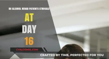 Day 16 Challenges: Alcohol Rehab Patients' Struggles and Resilience
