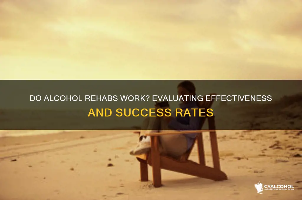 do alcohol rehabs work