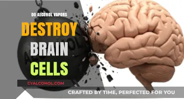 Alcohol Vapors and Brain Health: Separating Myth from Reality