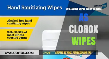 Alcohol Wipes vs. Clorox: What's the Difference?