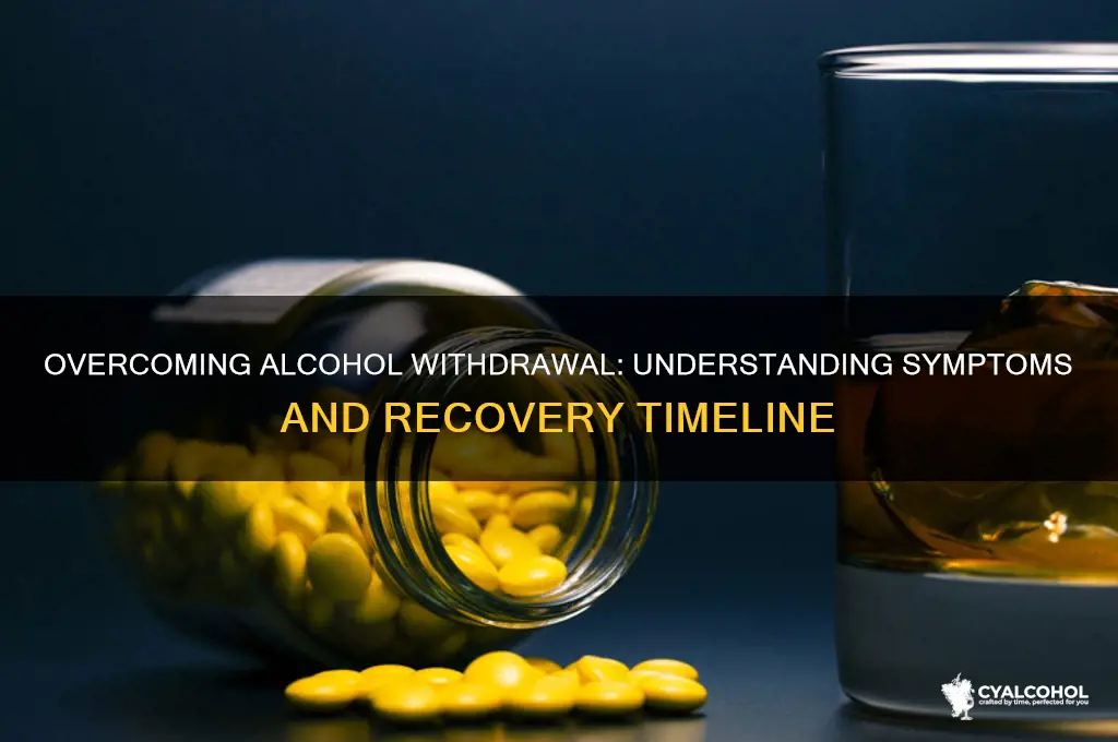 do alcohol withdrawal symptoms go away