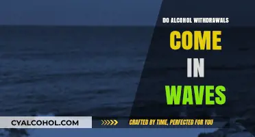 Understanding Alcohol Withdrawal Waves: Patterns, Symptoms, and Coping Strategies