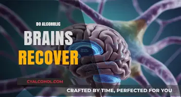 Can Alcoholic Brains Heal? Recovery Insights and Hopeful Findings