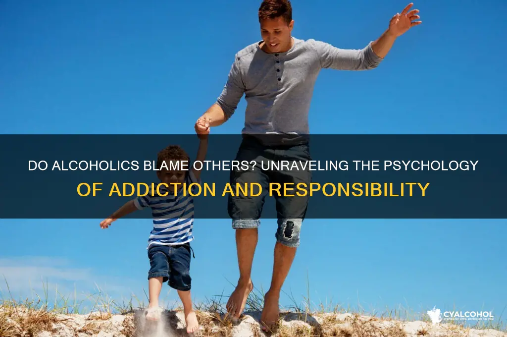 do alcoholics blame others