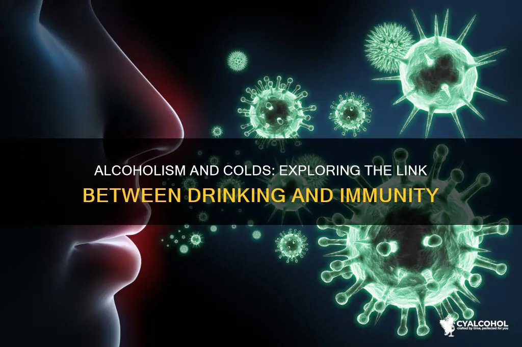 do alcoholics catch colds
