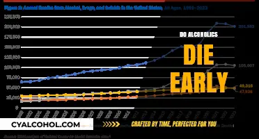 Alcoholism and Lifespan: Uncovering the Truth About Early Mortality