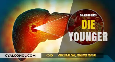 Alcoholism and Lifespan: Uncovering the Truth About Early Mortality