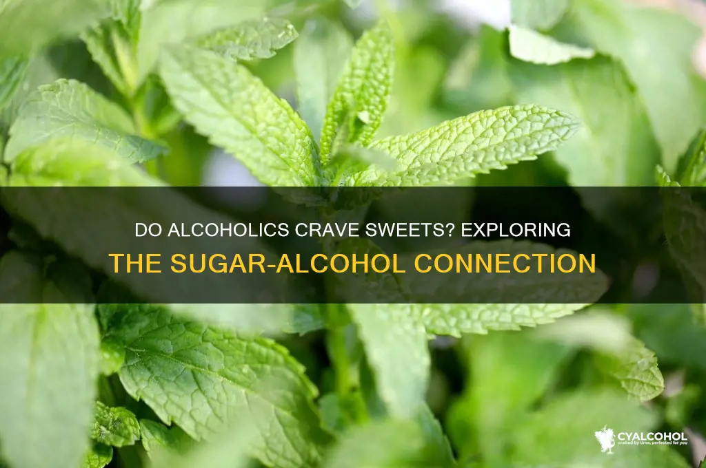 do alcoholics eat sweets