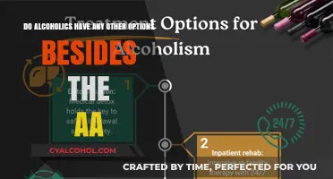 Exploring Treatment Options Beyond AA for Alcoholics