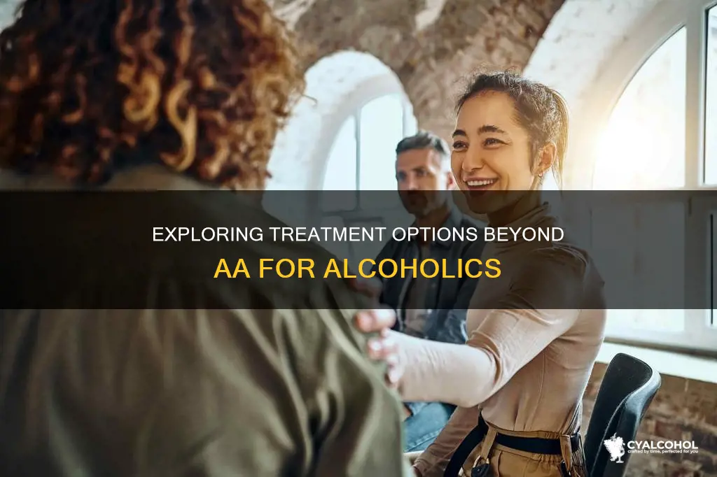do alcoholics have any other options besides the aa