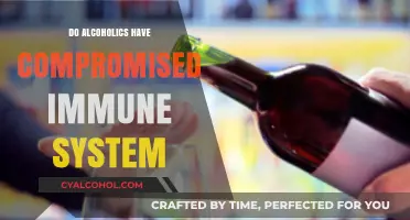 Alcoholism and Immunity: How Drinking Impacts Your Body's Defenses