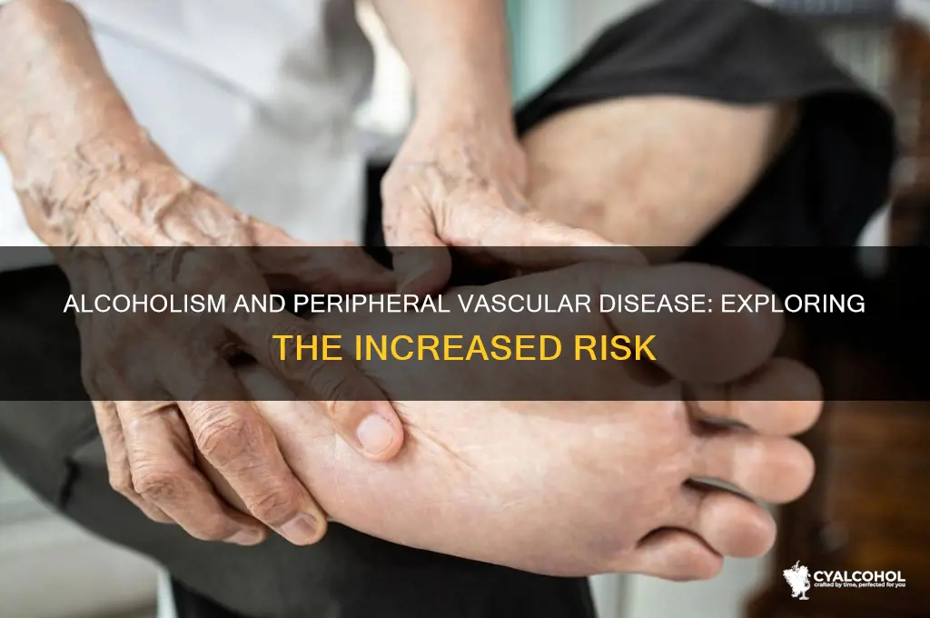 do alcoholics have higher incidence of peripheral vasc