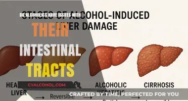 Alcoholism and Gut Health: Exploring Intestinal Tract Complications