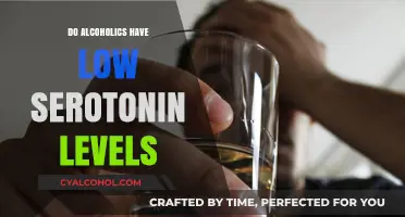 Alcoholism and Serotonin: Unraveling the Link to Low Levels