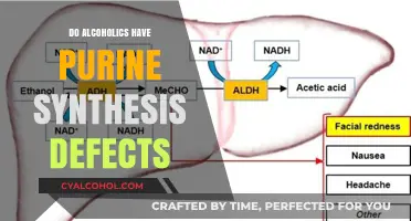Alcoholism and Purine Synthesis: Exploring Potential Defects and Implications