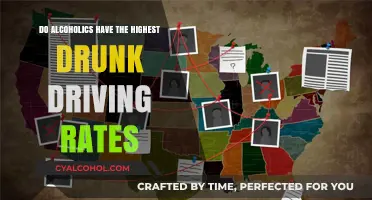 Alcoholics and Drunk Driving: Who's Really Behind the Wheel?