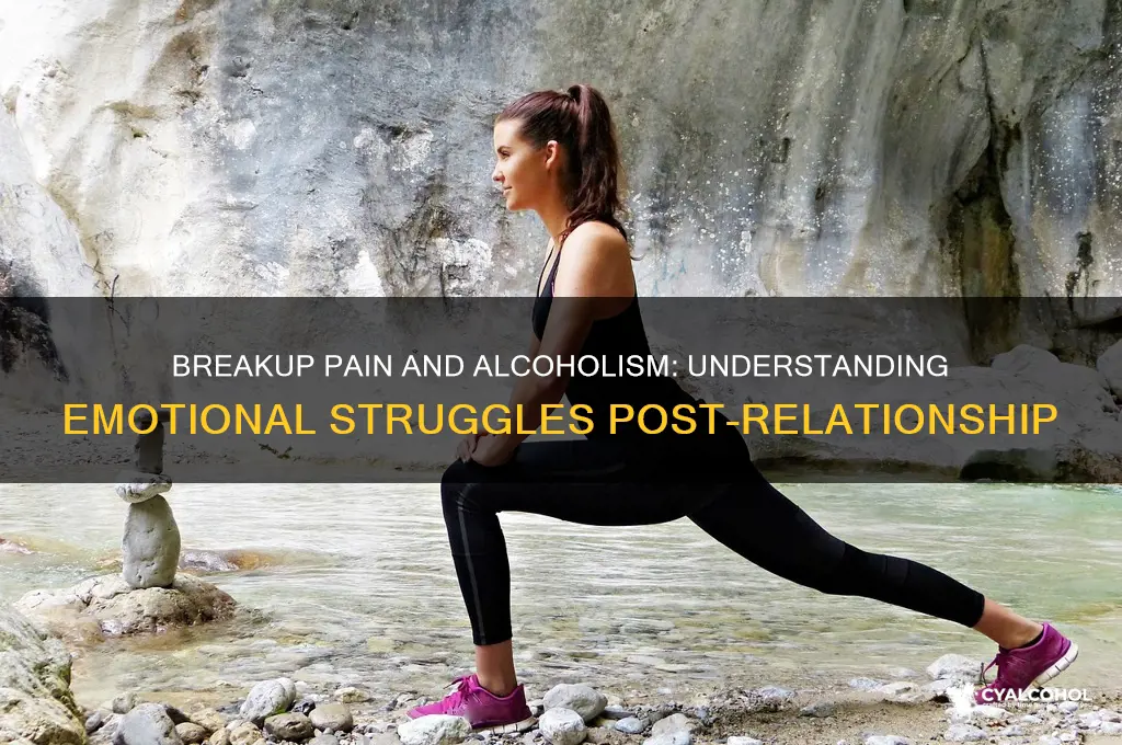 do alcoholics hurt after a breakup