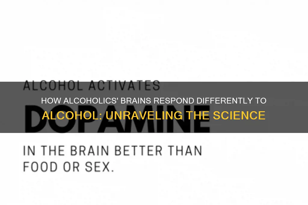 do alcoholics react differently to alcohol