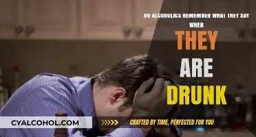 Drunk and Disorderly: Do Alcoholics Recall Their Words?