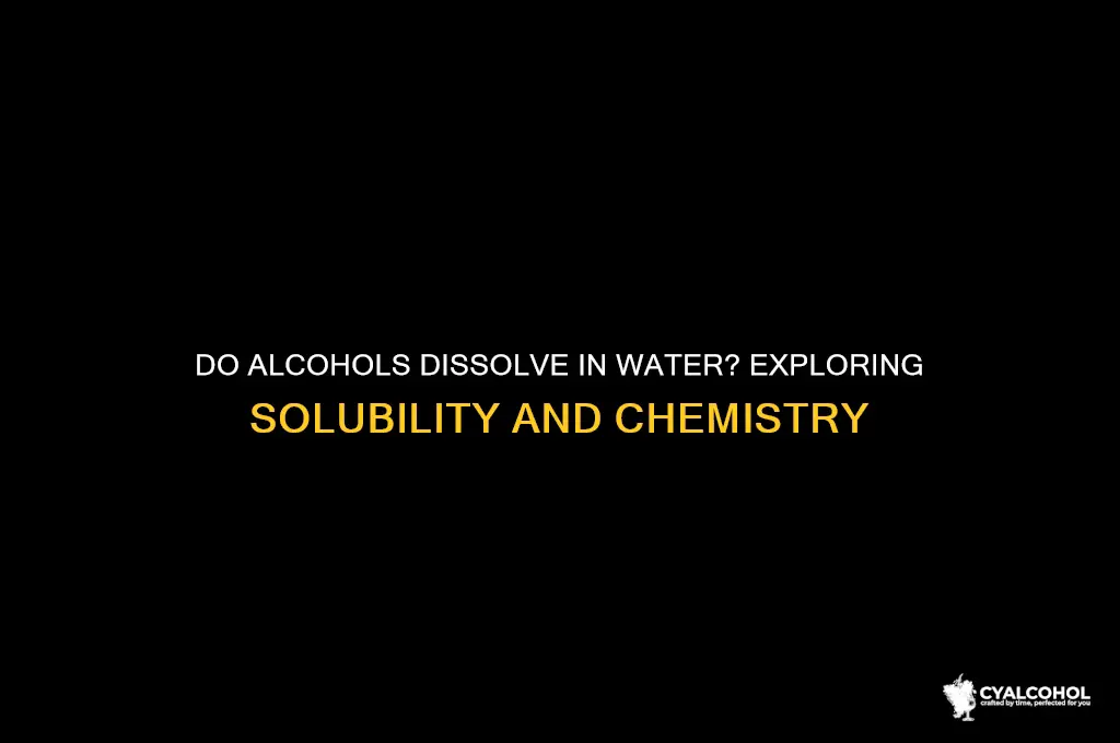 do alcohols dissolve in water