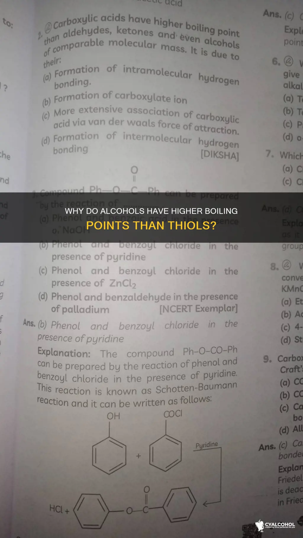 do alcohols have a higher boiling point than thiols