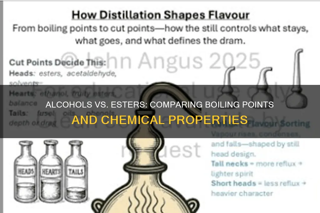 do alcohols have a higher bp than esters