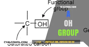 Understanding Alcohols: The Role and Significance of the OH Group