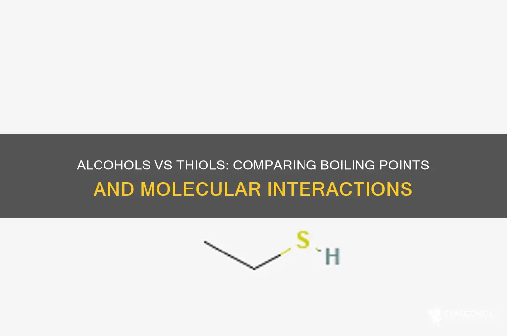 do alcohols have higher boiling points than thiols