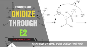 Exploring Alcohol Oxidation: Beyond E2 Mechanism Possibilities