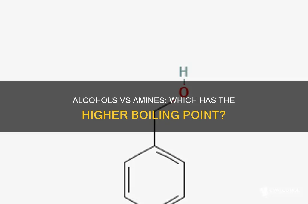 do alcohols or amines have higher boiling points