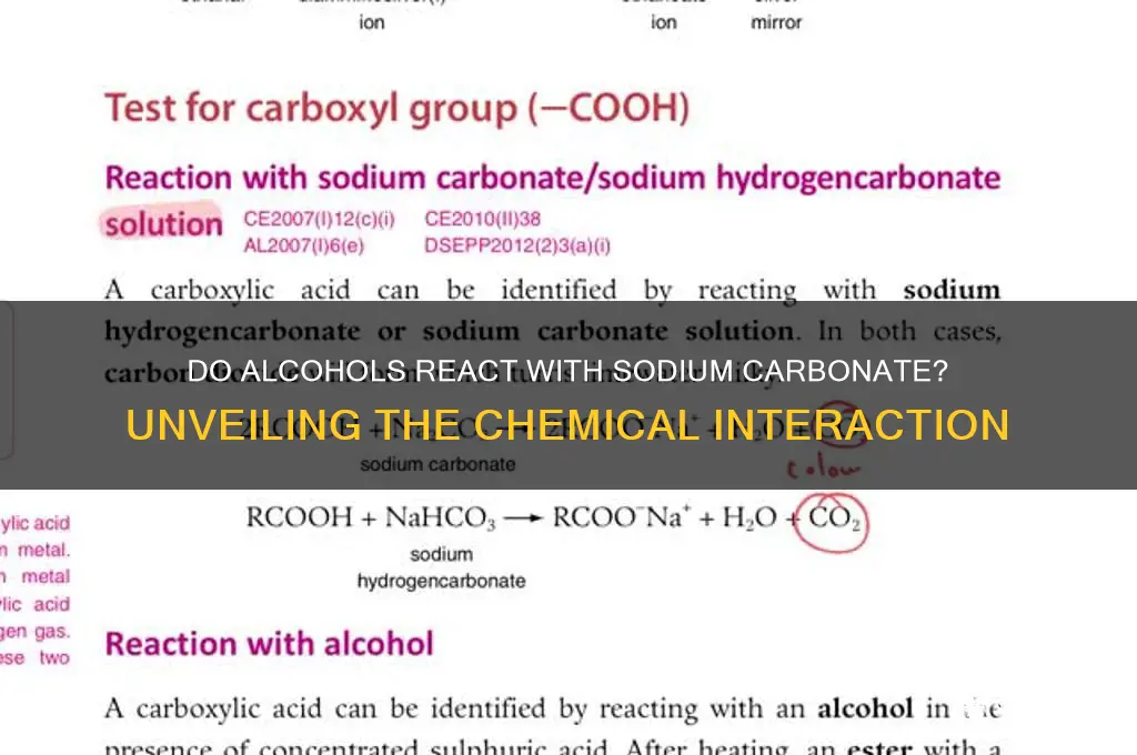 do alcohols react with sodium carbonate