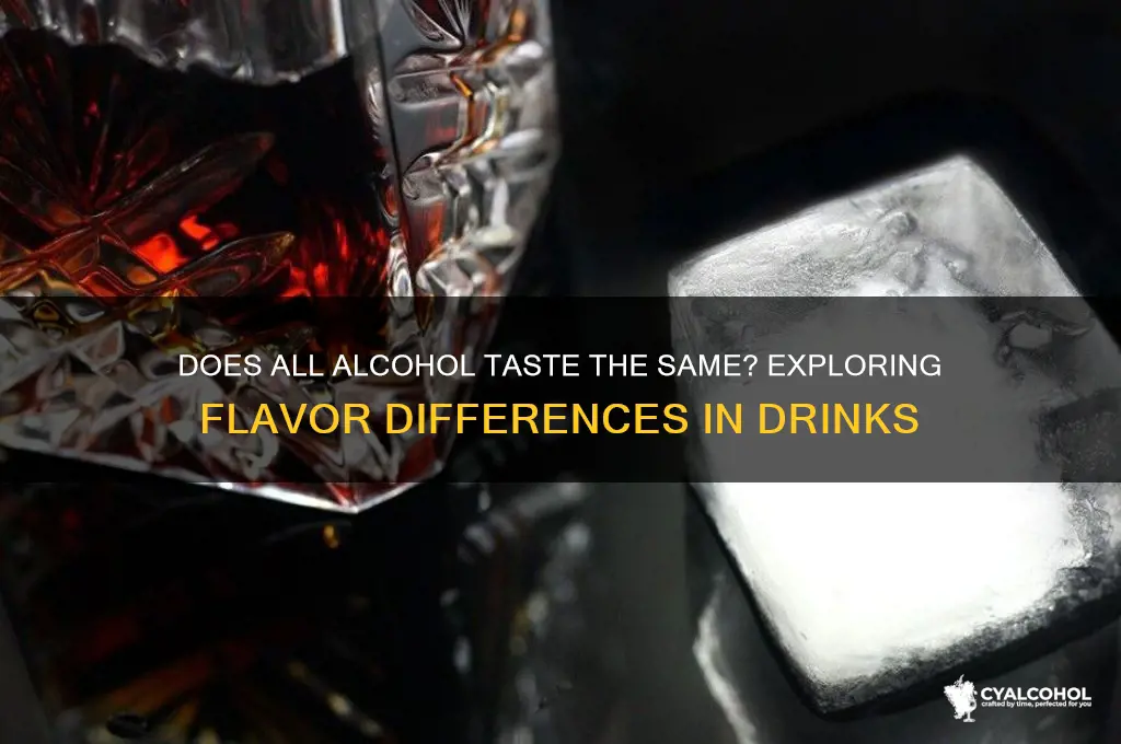 do all alcohol taste the same