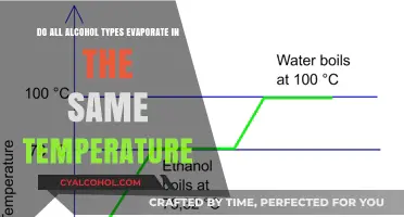Alcohol Evaporation: Does Temperature Affect Different Types?