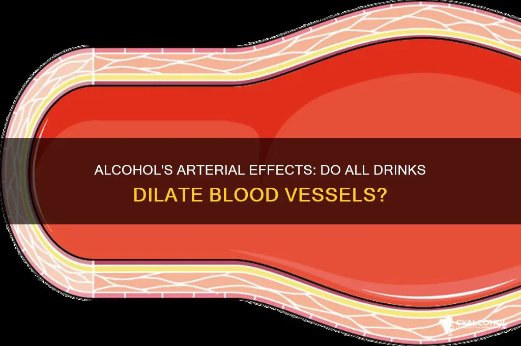 do all alcoholic beverages dilate arteries