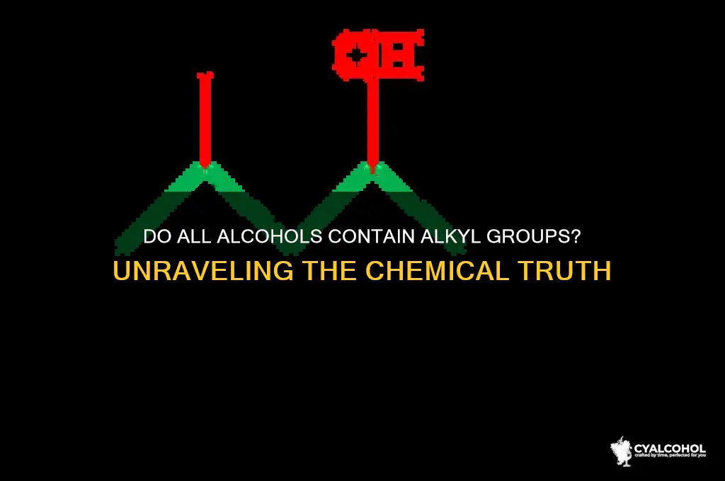 do all alcohols have alkyl groups