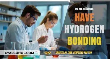 Hydrogen Bonding in Alcohols: A Comprehensive Chemical Analysis