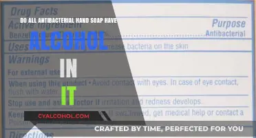 Alcohol in Antibacterial Hand Soap: What's the Deal?