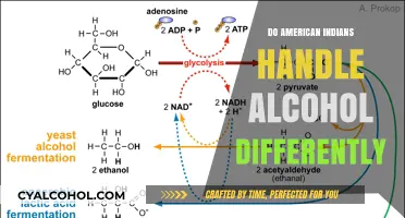 Alcohol Metabolism in Native Americans: Unique Genetic Factors Explored