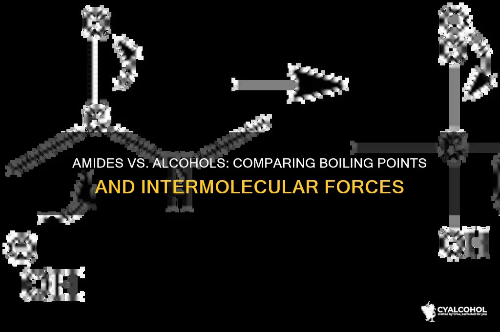 do amides have higher boiling points than alcohols