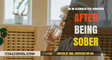 Sober Yet Hungover: Understanding Post-Alcoholism Symptoms and Recovery