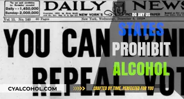 Are There US States That Still Prohibit Alcohol Today?
