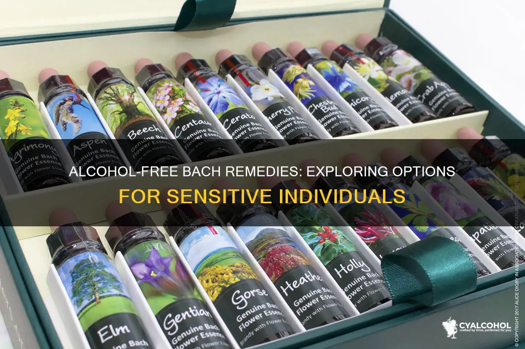 do bach remedies come without alcohol