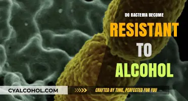 Can Bacteria Develop Resistance to Alcohol? Exploring the Science Behind It